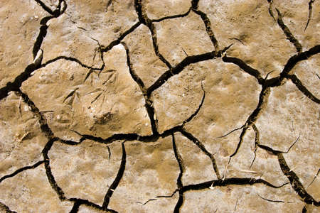Cracks on the soil during a droughtの写真素材