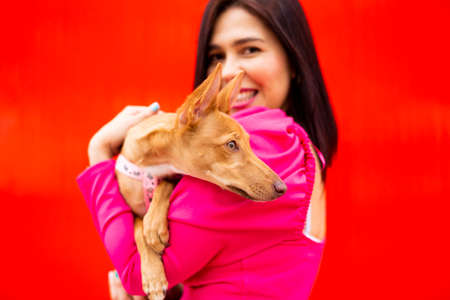 Young brunette woman holding a young brown dog on her arms against a red backgroundの写真素材
