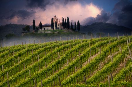 The vineyard hill and little castle in Italyの写真素材