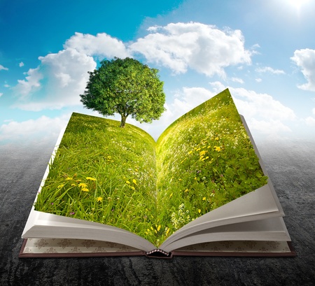 Open book with meadow, flowers and tree