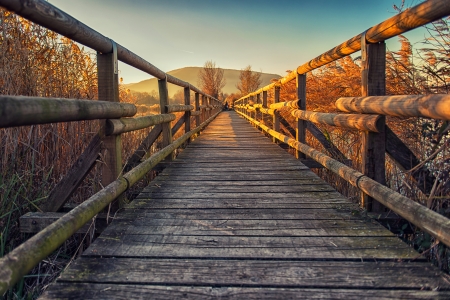 Little wood bridge over the lake in sunset timeの写真素材