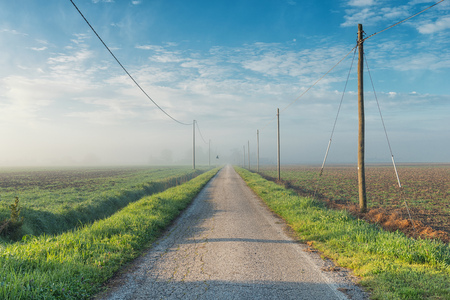 Countryside road in a foggy spring morningの写真素材