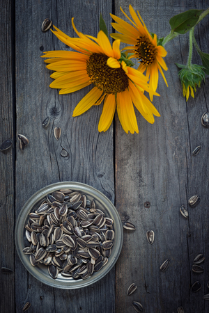 Sunflower seeds on wood rustic tableの写真素材
