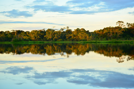 Amazing sunsets in the Yasuni National Park Ecuadorの写真素材