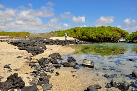 A calm water beach with sand, lava and mangroves.の写真素材