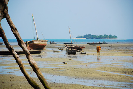 Various boats on the beach at low tide, Zanzibar, East Africa.