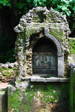 View of the Gedi Ruins, close to Mombasa, Kenyaの写真素材