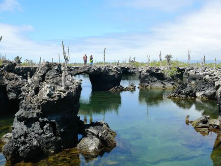 The lava tunnels on the Island of Isabela, Galapagos, Ecuadorの写真素材
