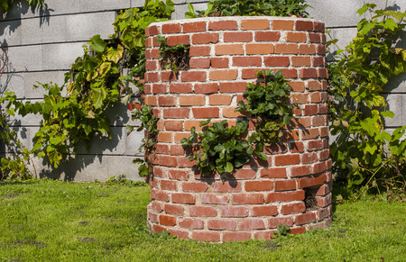 Horticulture and terracing with natural building materials: such as brick and stone.の写真素材