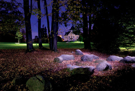 A night in the forest and on the fieldの写真素材