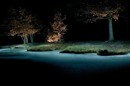 A night in the forest and on the fieldの写真素材