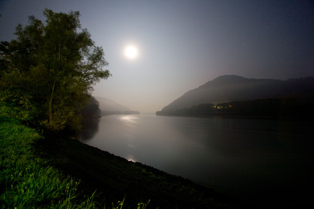 A night in the forest and on the fieldの写真素材