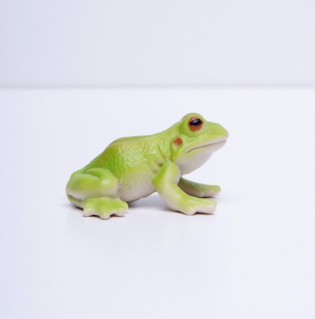 plastic green frogの写真素材