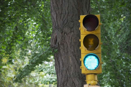 Green traffic light with trees in the backgroundの写真素材