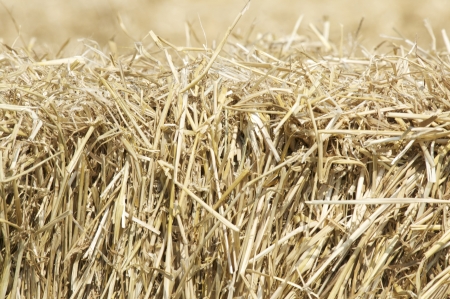 Hay baleの写真素材