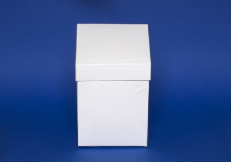 White carton house on blue background