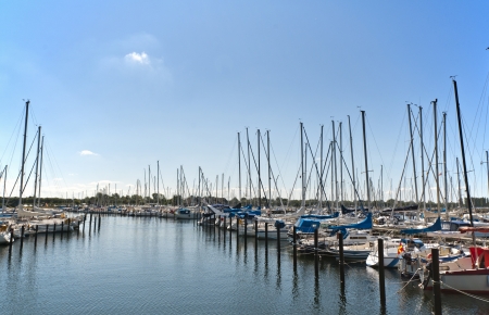 Small sailboats in a harborの写真素材
