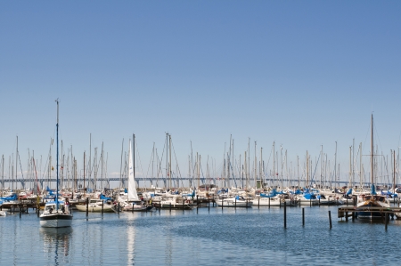 Small sailboats in a harborの写真素材
