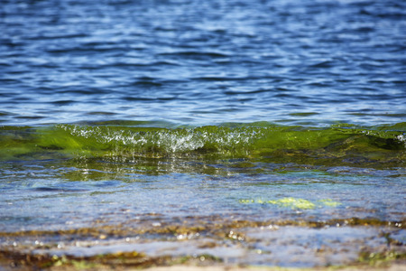Waters edge, small waveの写真素材