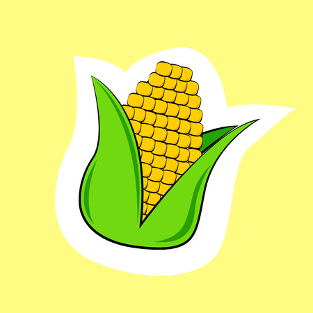 ear of corn isolated on yellow backgroundのイラスト素材