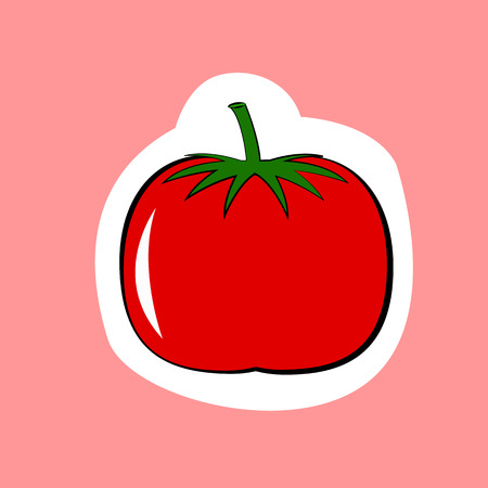 tomato vegetable isolated on pink backgroundのイラスト素材