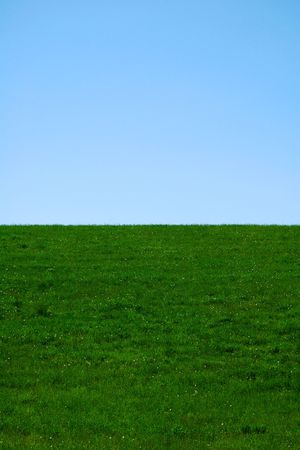 Green grass, blue sky in perfect balanceの写真素材