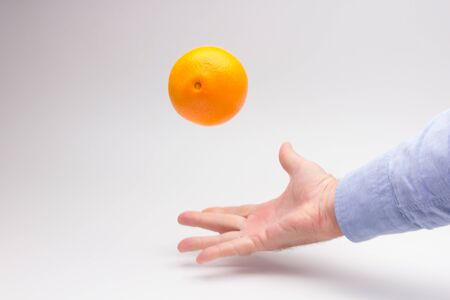 Orange is a fruit of a size that fits in the hand of an adult person, it is split in half to make a juice, rich in vitamins and low in calories; very refreshingの写真素材