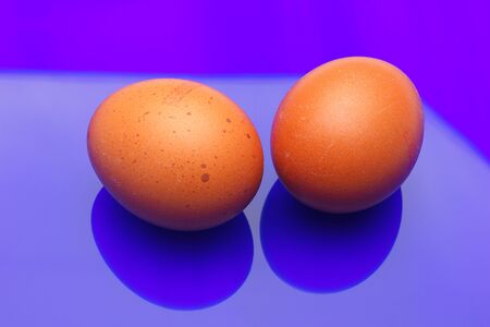 Raw chicken eggs, from the home market, prepared to be cooked with the inconvenience of cholesterol; used in the kitchen and in the bakery: essential ingredient to make sauces and desserts.の写真素材