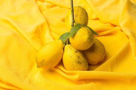 Lemon fruit rich in vitamin C and multiple properties for health, cooking, baking; acid taste and yellow skin.の写真素材