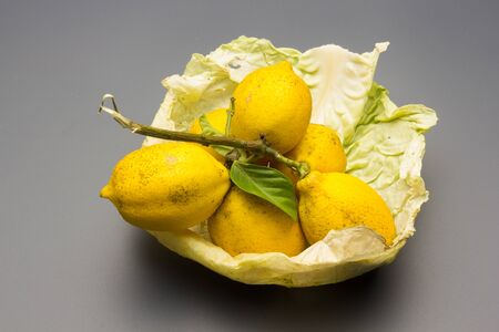 The fruit of the lemon tree is the lemon of yellow skin, with an acid flavor, aromatic skin and...