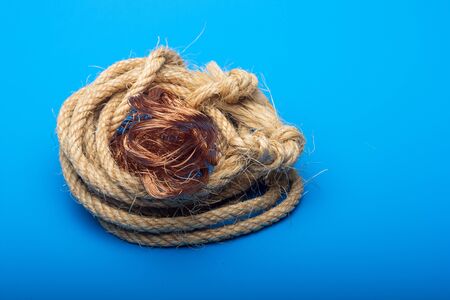 Copper filaments, small transmitting wires and carriers of electric current. Essential copper cables for the transport of electricity.の写真素材