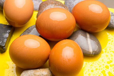 Farm fresh chicken eggs, washing eggs. The shell and shape of the egg withstands great pressure. The...