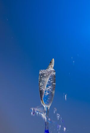 Sardine is a fish that is easily found in fishmongers, it is usually fished in the Mediterranean Sea and is common in the Mediterranean diet, healthy and full of Omegaの写真素材