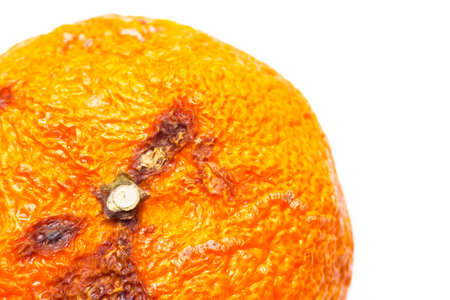 Portion of mandarin peel on white background, citrus, spoiled fruit peel; Mandarin orange coloredの写真素材