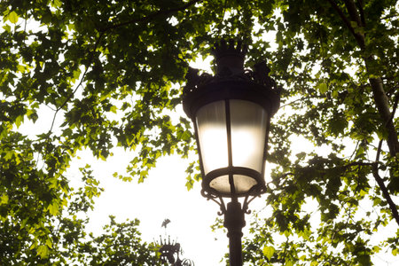 Typical lamp from the city center of Barcelona, Catalonia, Spain. Mediterranean wrought iron lamp; artistic illumination of the city of Barcelona.の写真素材