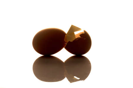 Broken eggs and paper bow ties on a plain background