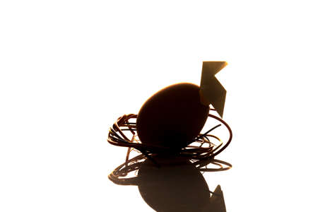 Broken eggs and paper bow ties on a plain background