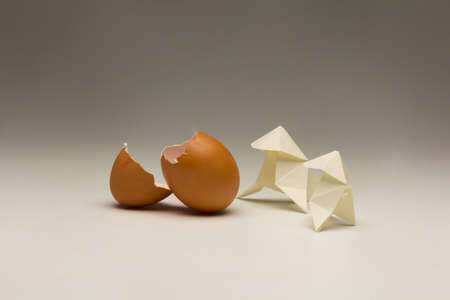 Broken eggs, eggshells and paper bowties