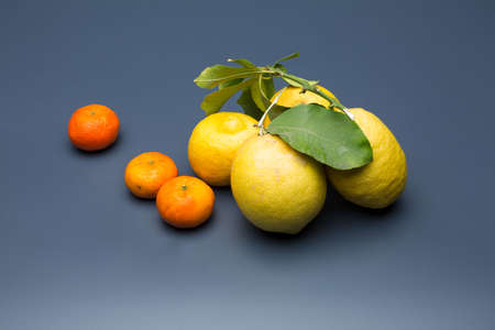 yellow lemon on gray background, composition of lemons and green leaves.の写真素材