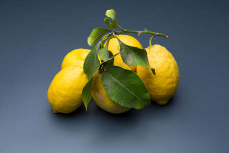 yellow lemon on gray background, composition of lemons and green leaves.の写真素材