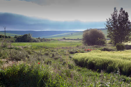 Green landscapes of Castilla, Spain in spring, pilgrims' passage area at the entrance to the city of...