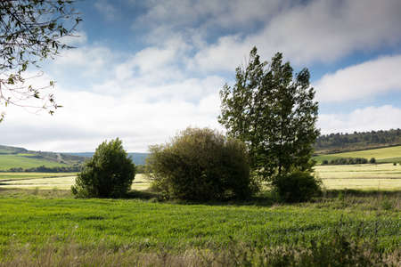 Green landscapes of Castilla, Spain in spring, pilgrims' passage area at the entrance to the city of Burgos.の写真素材