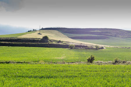 Fields of Castile, Spain in Spring, near the city of Burgos.の写真素材