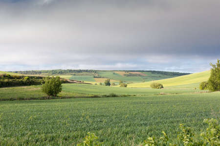 Fields of Castile, Spain in Spring, near the city of Burgos.の写真素材