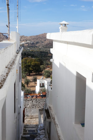 Narrow whitewashed alley with stairs, plants, and traditional architecture in a Greek island villageの写真素材