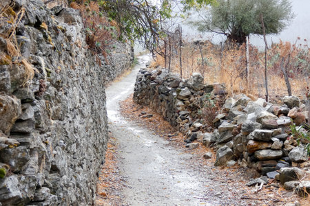 Scenic view of a narrow path winding between stone walls in a mountain landscape during autumnの写真素材