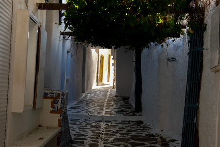 Picturesque alley with narrow tunnel with whitewashed walls, stone pavement, creating a charming Mediterranean atmosphere on the Greek islands, Greeceの写真素材