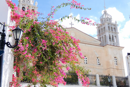 Vibrant bougainvillea brings a splash of color to a charming alley in a traditional Greek island...