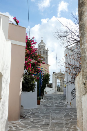 Vibrant bougainvillea brings a splash of color to a charming alley in a traditional Greek island villageの写真素材