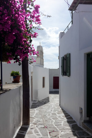 Vibrant bougainvillea brings a splash of color to a charming alley in a traditional Greek island villageの写真素材